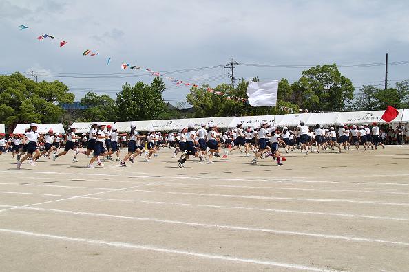 イメージ 7