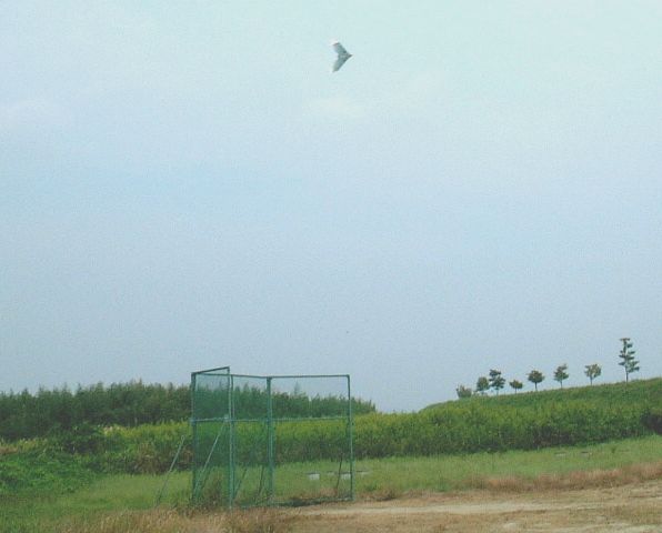 イメージ 4