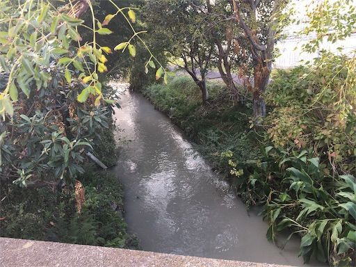 f:id:napeco:20181026171448j:image