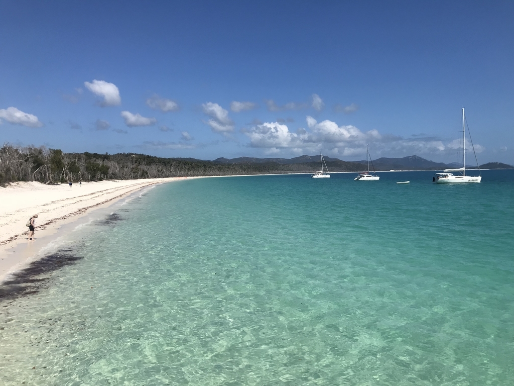 【豪ハミルトン島2泊3日】グレートバリアリーフに浮かぶハミルトン島に滞 …