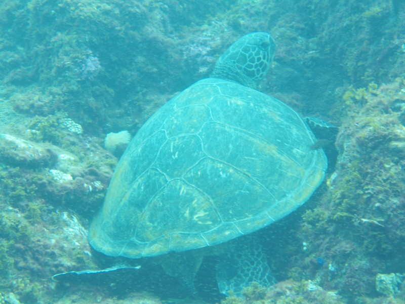 f:id:napolitan8_8:20110820144049j:image:w360 f:id:napolitan8_8:20110820144049j:image:w360