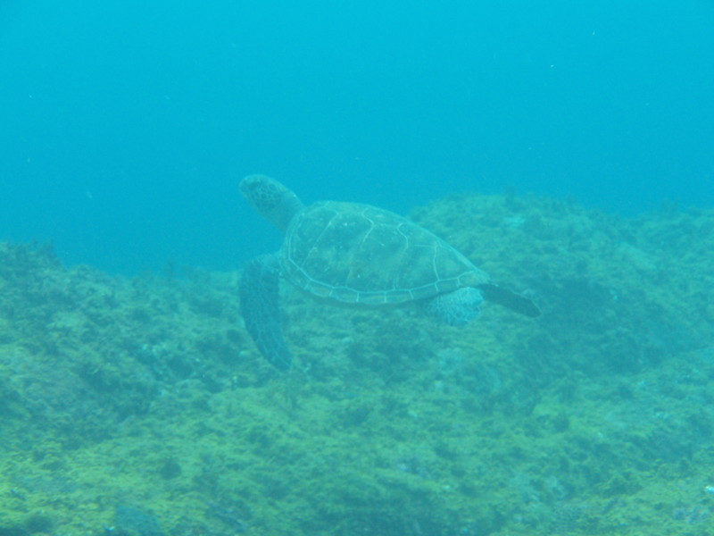 f:id:napolitan8_8:20110820144532j:image:w360 f:id:napolitan8_8:20110820144532j:image:w360
