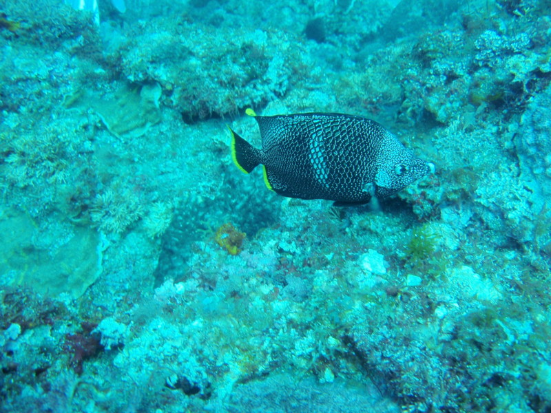 f:id:napolitan8_8:20110821094804j:image:w360 f:id:napolitan8_8:20110821094804j:image:w360