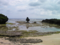 20100707091903