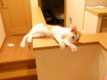 20090904211251