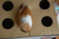 20090907125410