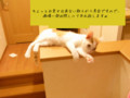 20090912111950