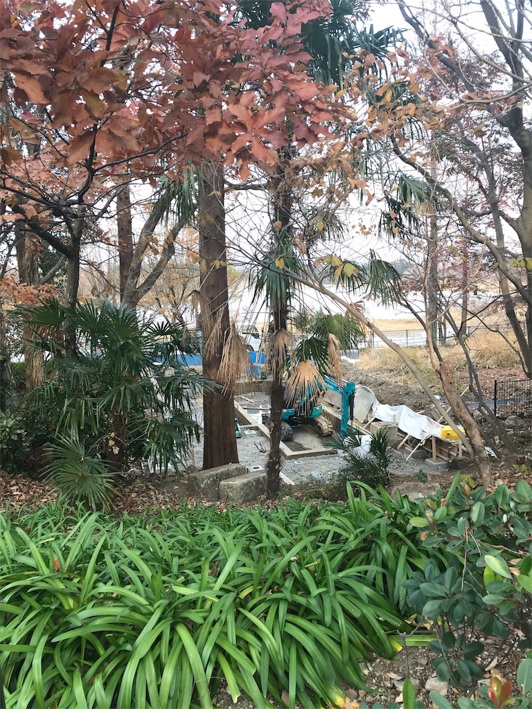 f:id:nappai1:20180105003747j:image:w300 f:id:nappai1:20180105003747j:image:w300
