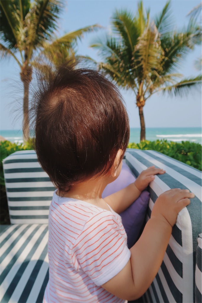 f:id:naptimesumi:20191224151716j:image