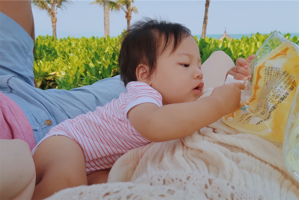 f:id:naptimesumi:20191224151739j:image