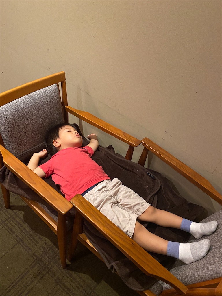 f:id:naptimesumi:20201006164150j:image