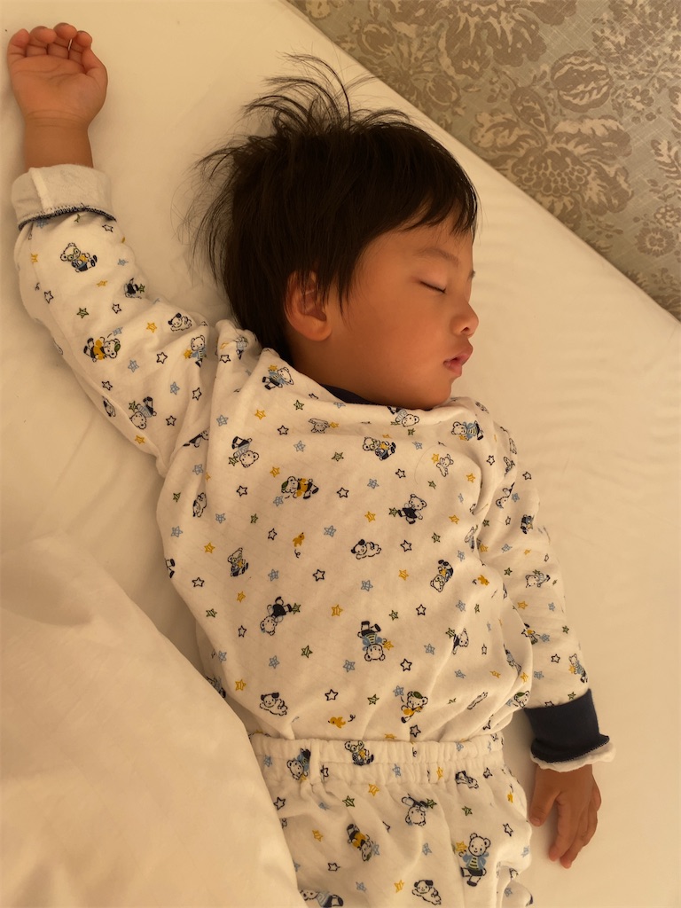 f:id:naptimesumi:20201122150820j:image