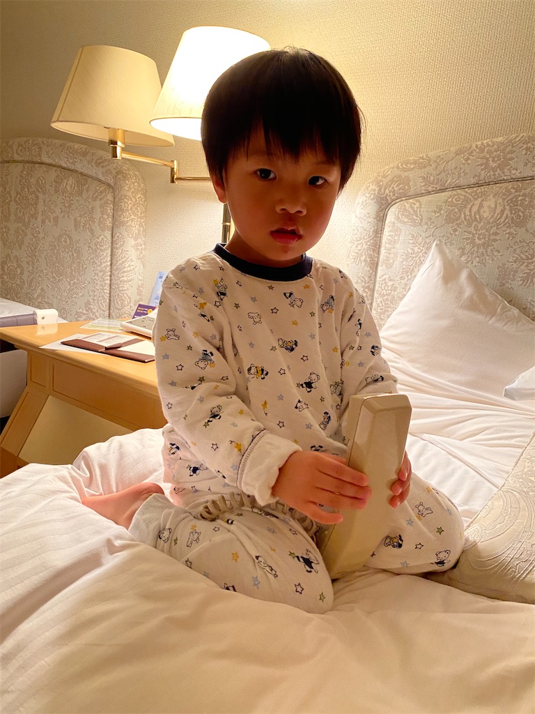 f:id:naptimesumi:20201122150824j:image
