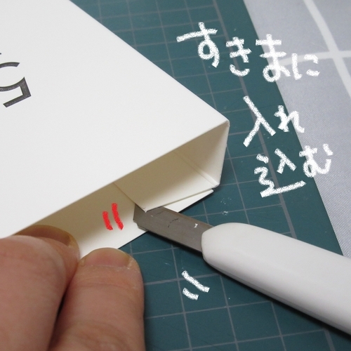 f:id:napxnap:20190322222132j:plain f:id:napxnap:20190322222132j:plain