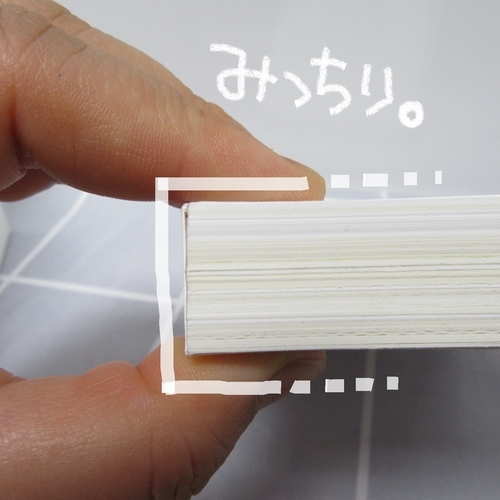 f:id:napxnap:20190323140048j:plain f:id:napxnap:20190323140048j:plain