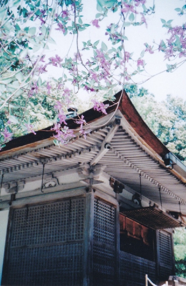 f:id:naradaisukikurabu:20180326231802j:plain