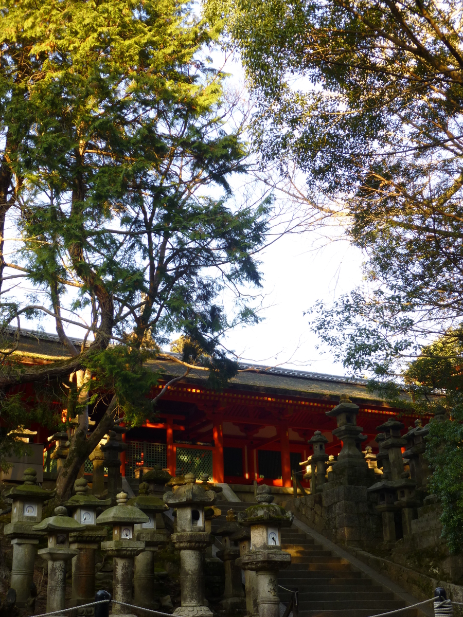 f:id:naradaisukikurabu:20191220093852j:plain
