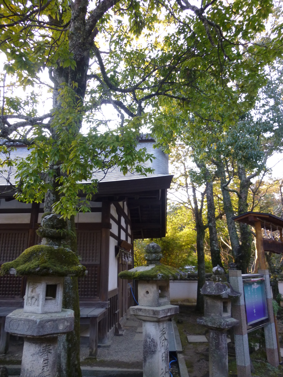 f:id:naradaisukikurabu:20191220094052j:plain