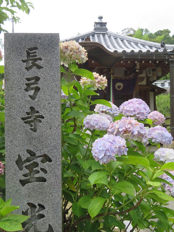 f:id:naradaisukikurabu:20200511073952j:plain