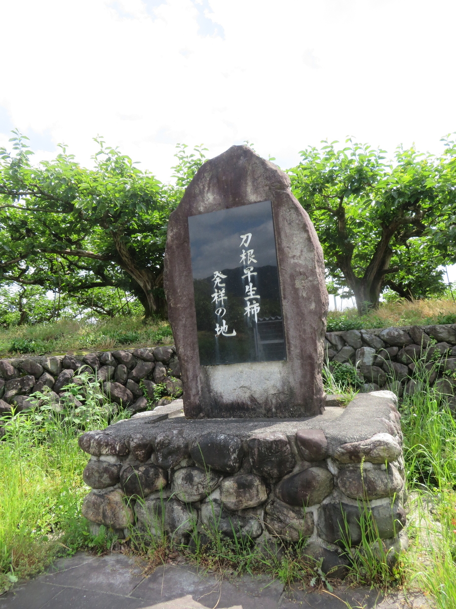 刀根早生柿発祥の地の石碑 Naradaisukikurabu S Blog