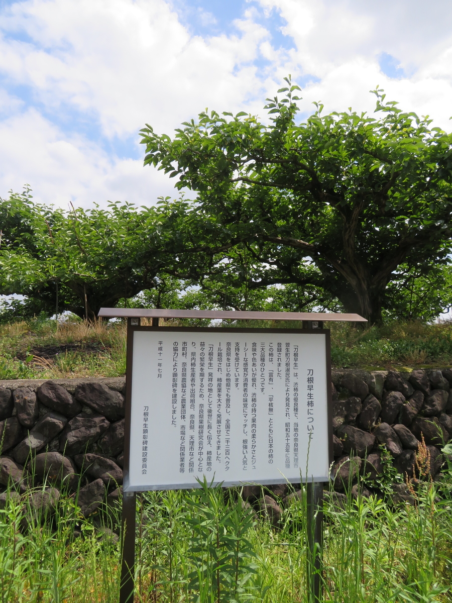 刀根早生柿発祥の地の石碑 Naradaisukikurabu S Blog