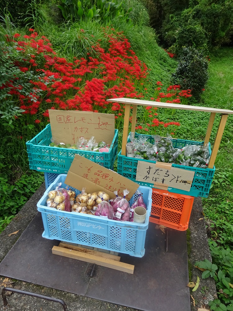 f:id:naradaisukikurabu:20210919180802j:plain