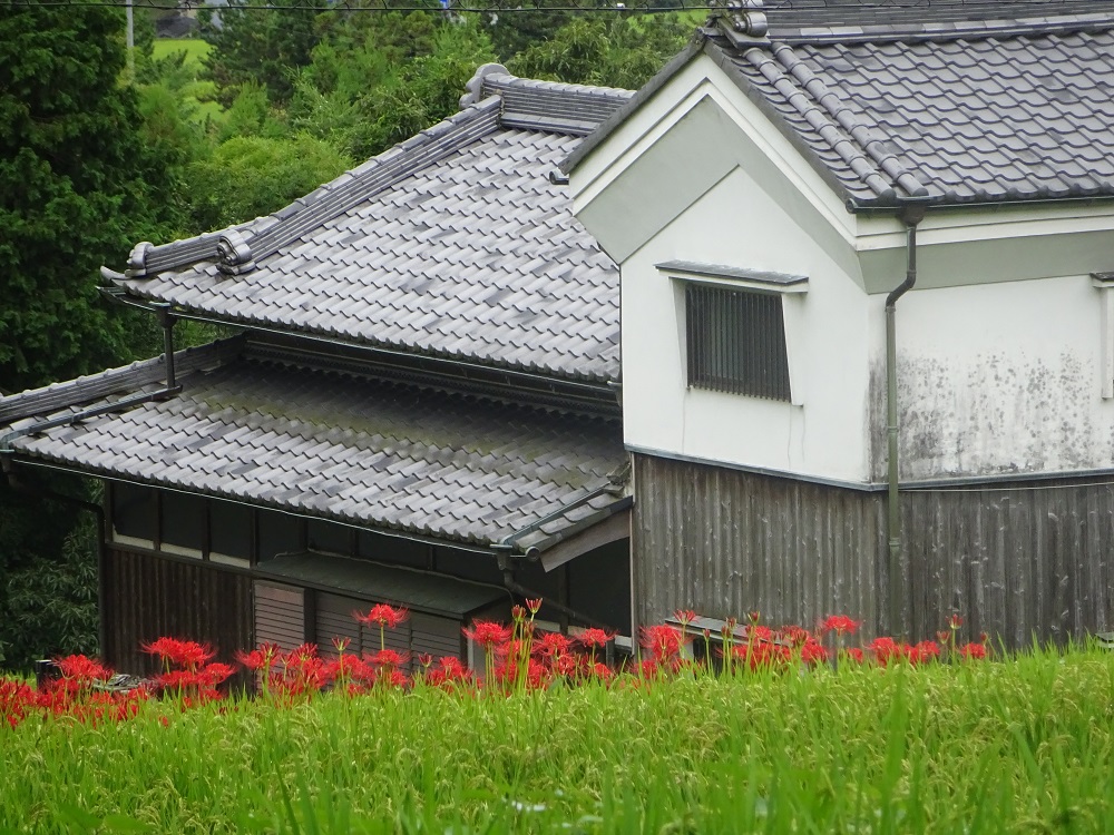 f:id:naradaisukikurabu:20210919180821j:plain