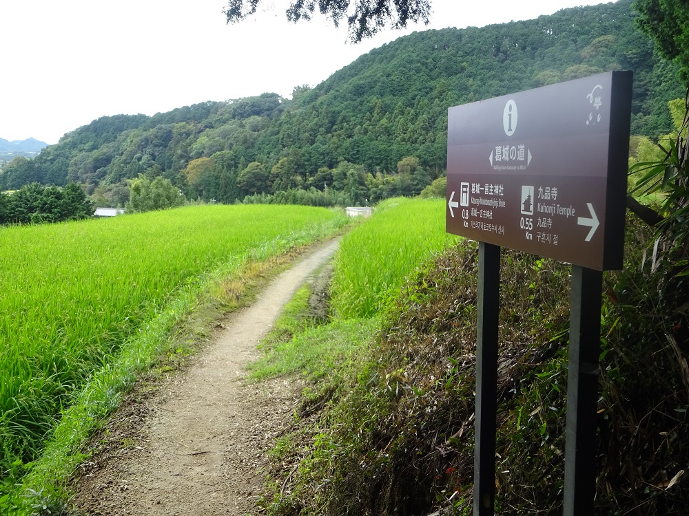 f:id:naradaisukikurabu:20210919180915j:plain