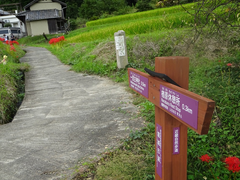 f:id:naradaisukikurabu:20210919181008j:plain