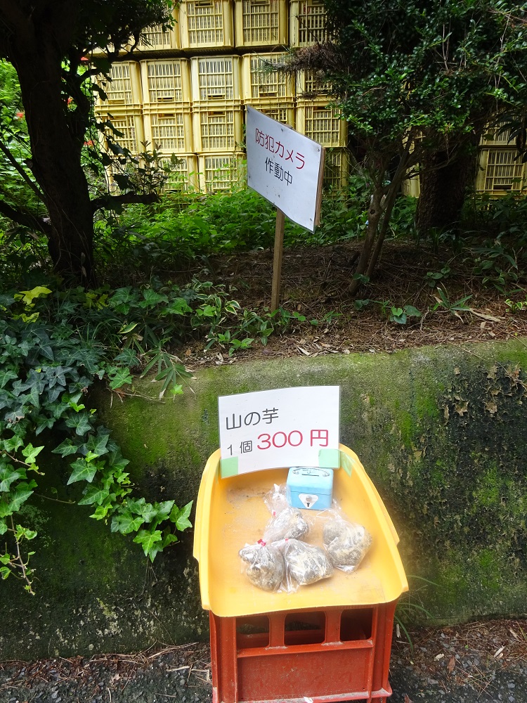 f:id:naradaisukikurabu:20210924100746j:plain