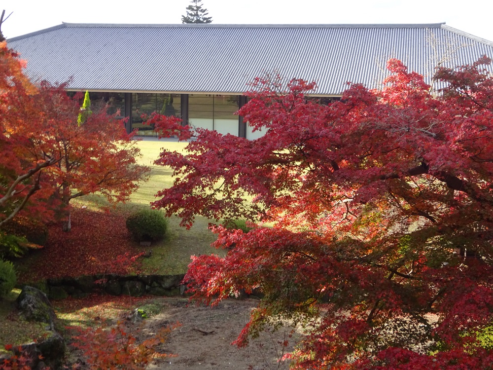 奈良春日野国際フォーラム甍の紅葉2022年(11月下旬) naradaisukikurabu’s blog 奈良春日野国際フォーラム甍の紅葉2022年(11月下旬) naradaisukikurabu’s blog