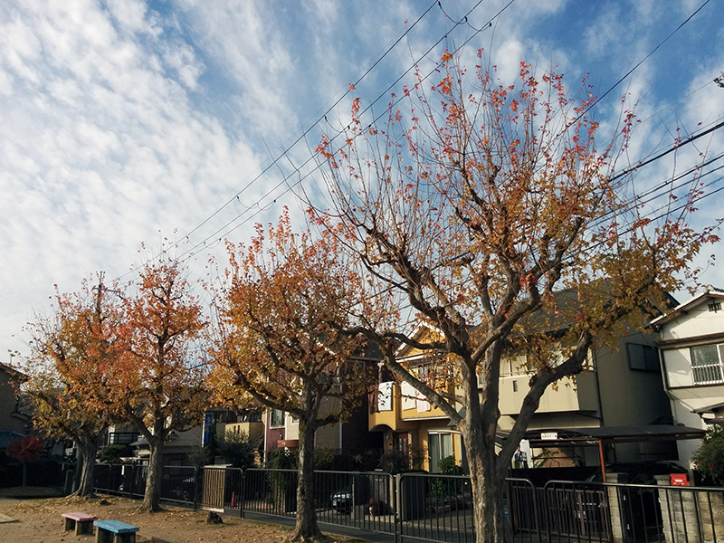 f:id:naraiwao:20151209225919j:image:w310