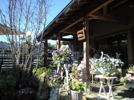 f:id:narajun:20100124224640g:image f:id:narajun:20100124224640g:image