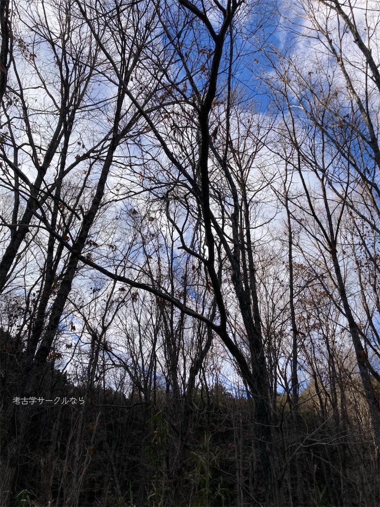 f:id:narakofu:20260122113331j:image