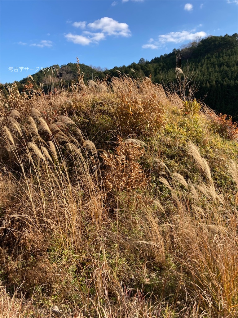f:id:narakofu:20260122113401j:image