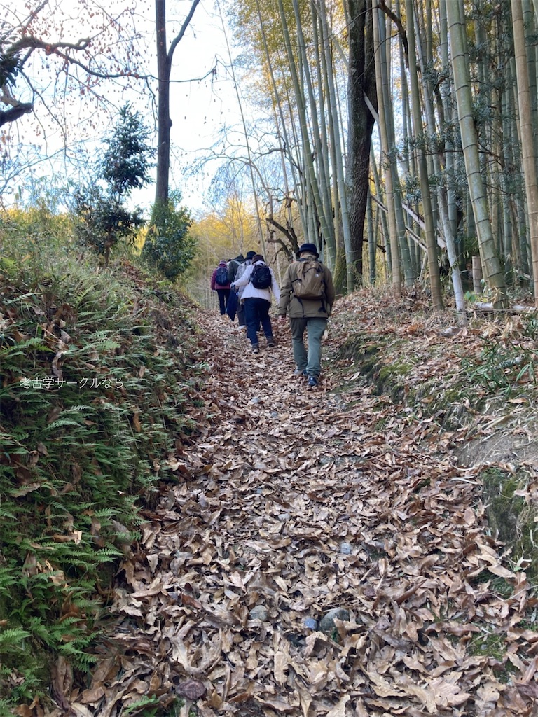 f:id:narakofu:20260122113505j:image