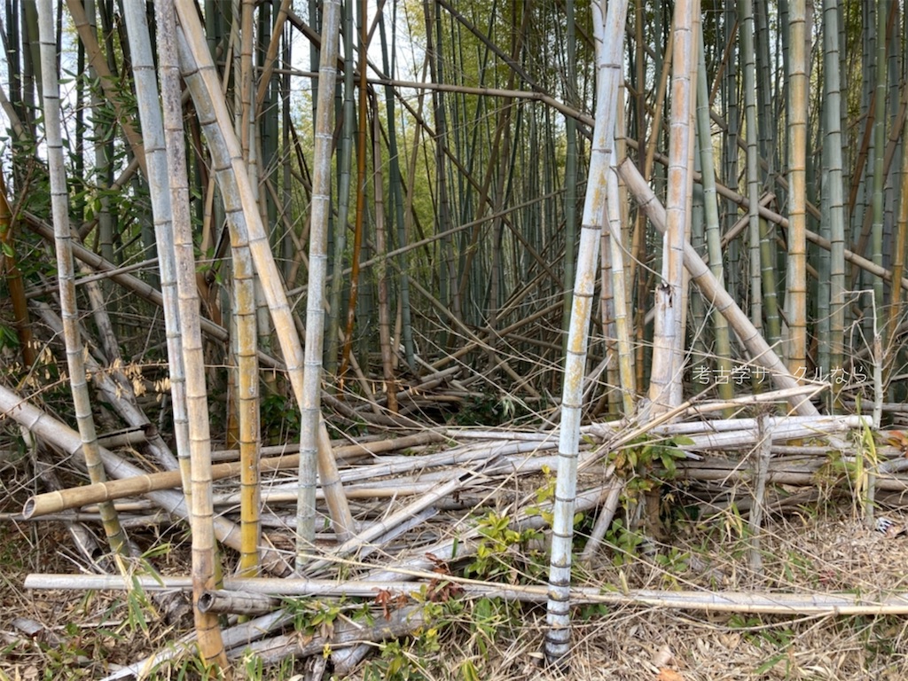 f:id:narakofu:20260122114136j:image