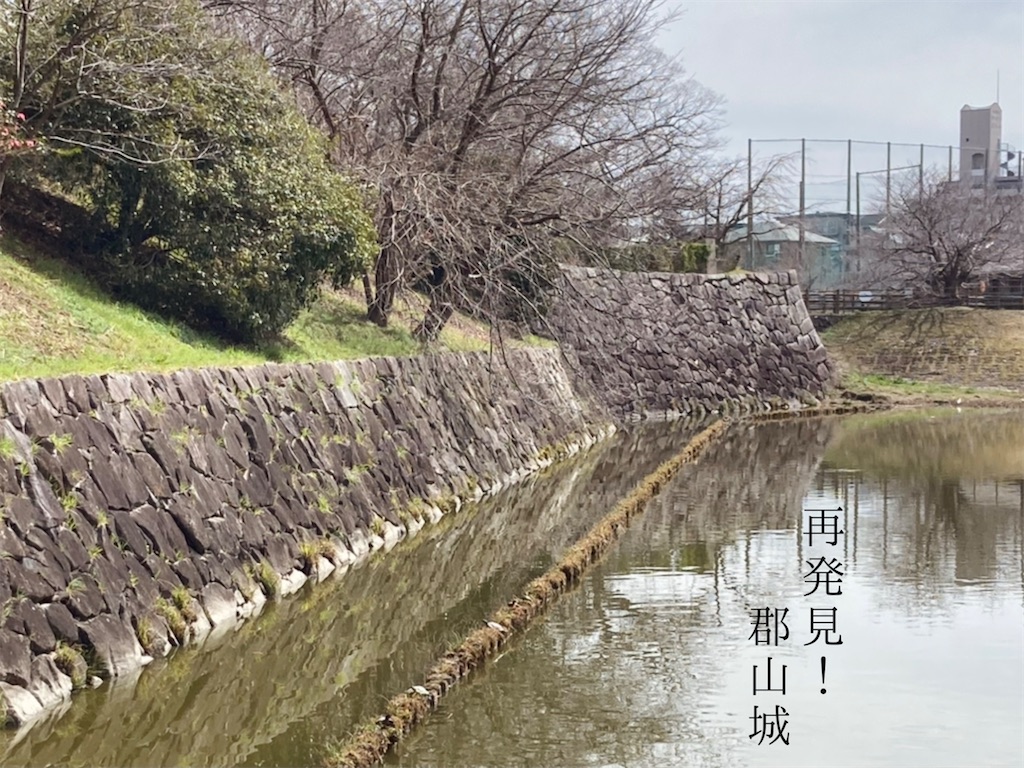 f:id:narakofu:20260310131328j:image