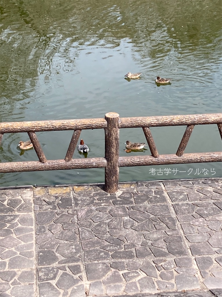 f:id:narakofu:20260310131428j:image