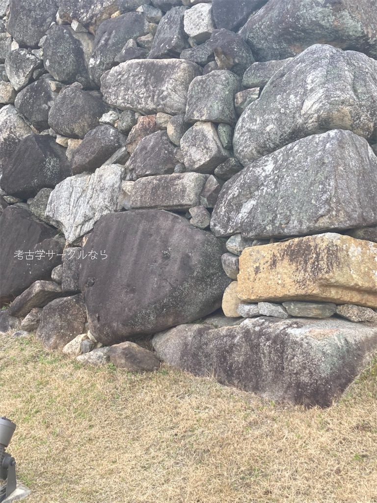 f:id:narakofu:20260310134019j:image