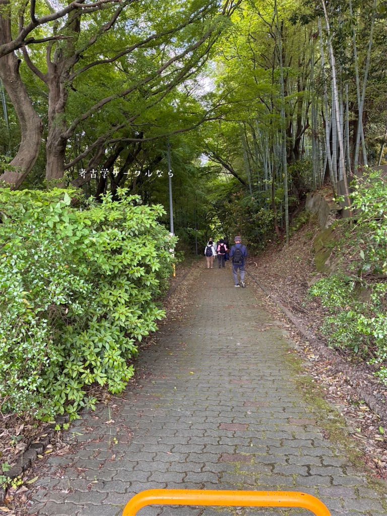 f:id:narakofu:20260518113916j:image