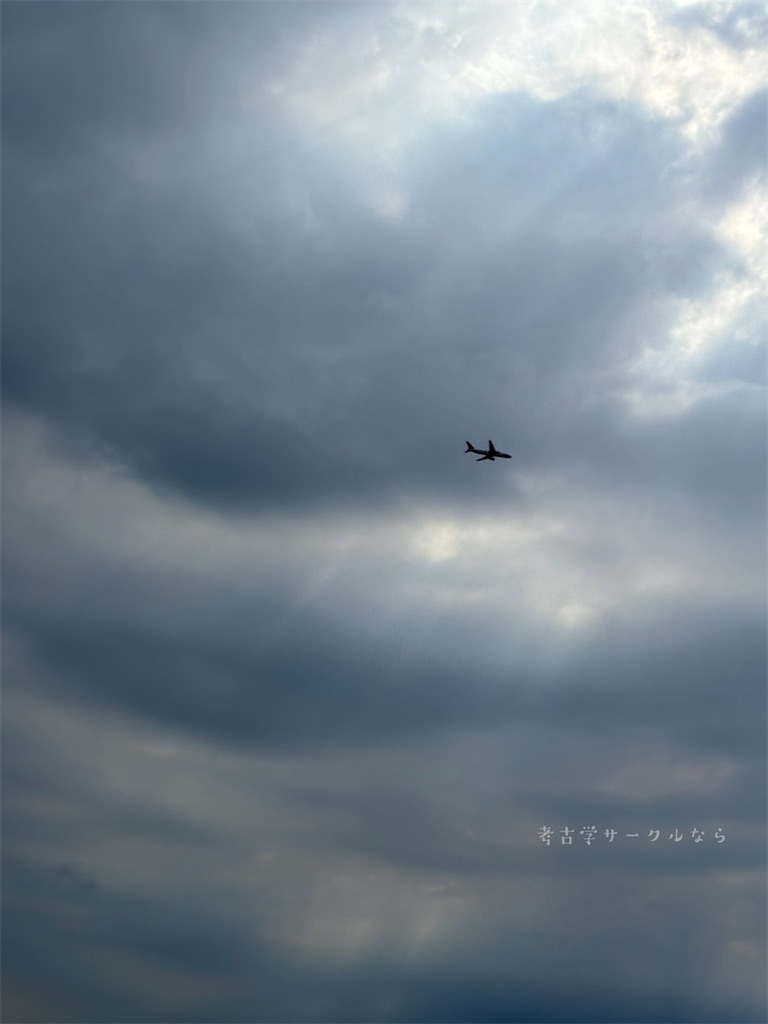 f:id:narakofu:20260518114014j:image