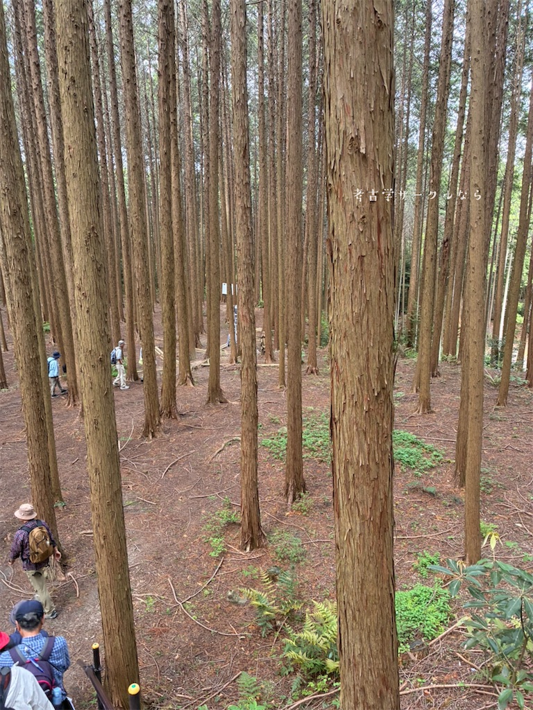 f:id:narakofu:20260518114203j:image