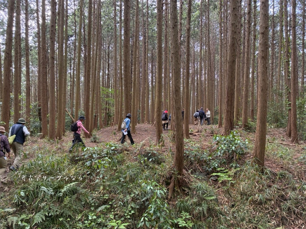 f:id:narakofu:20260518114213j:image
