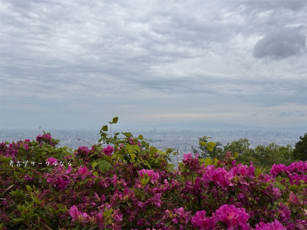 f:id:narakofu:20260518114955j:image