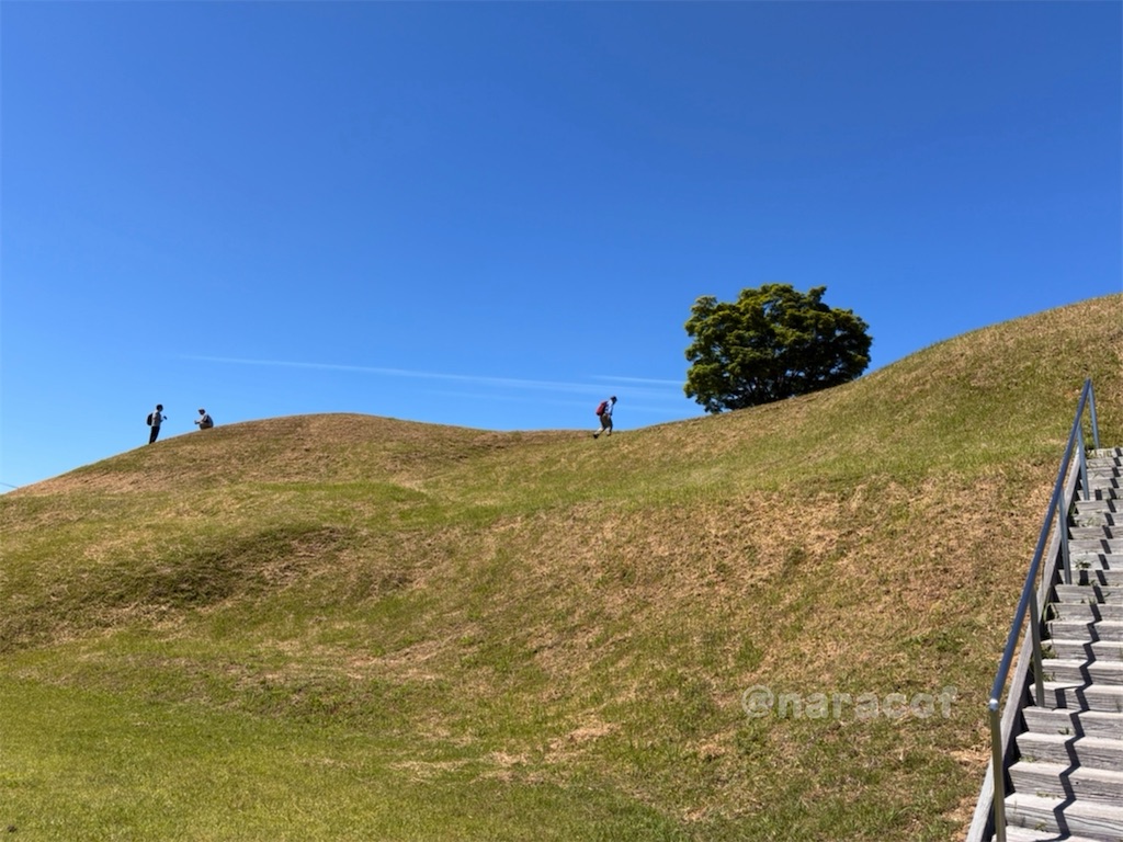 f:id:narakofu:20260603192348j:image