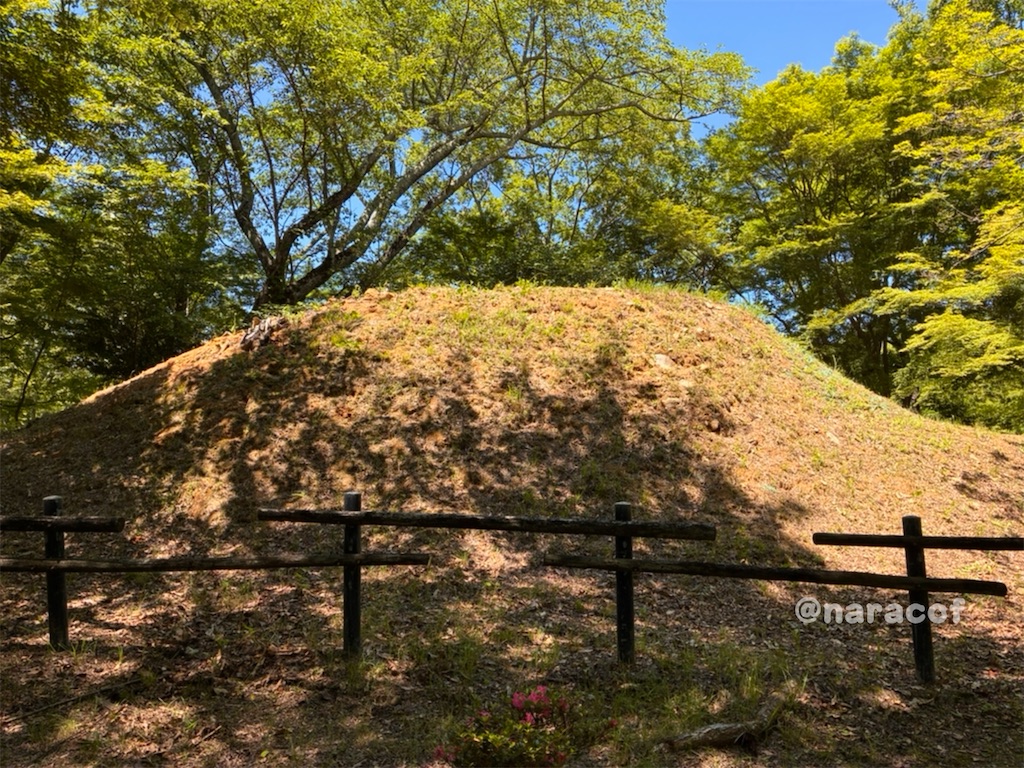 f:id:narakofu:20260603192415j:image