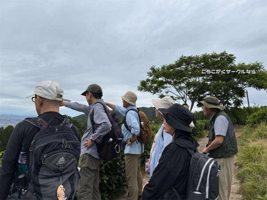 f:id:narakofu:20260609110932j:image