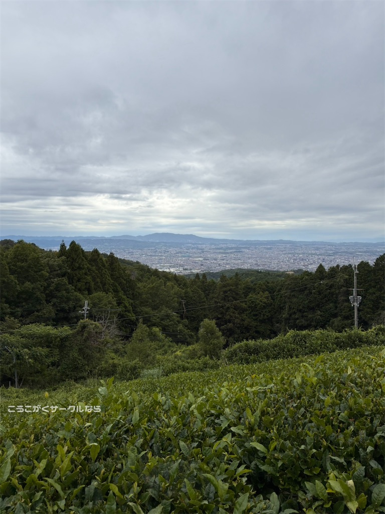 f:id:narakofu:20260609110945j:image
