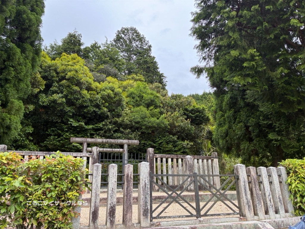 f:id:narakofu:20260609111207j:image